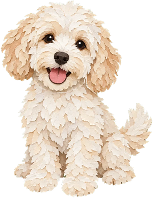 Maple, a fluffy cockapoo, sitting and smiling